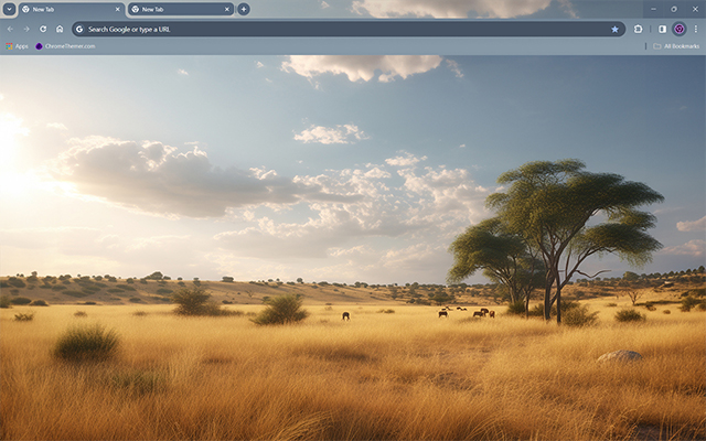 Savanna Theme